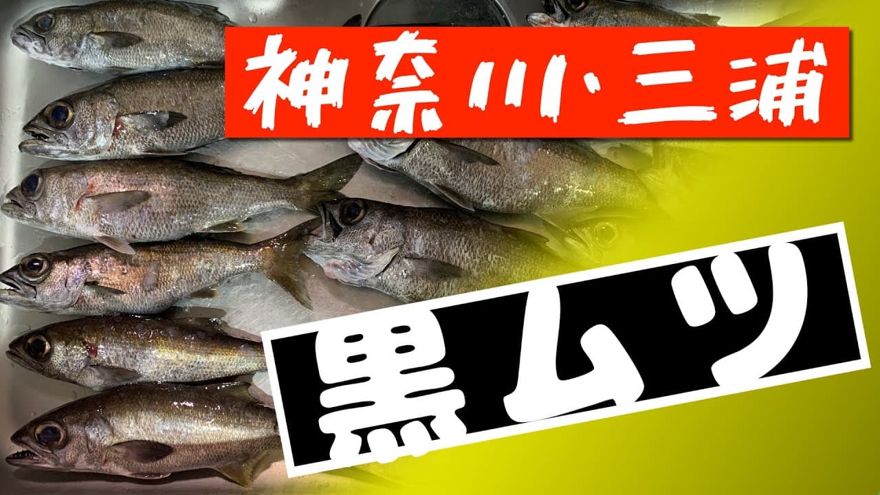 Suzudai chさんの作品